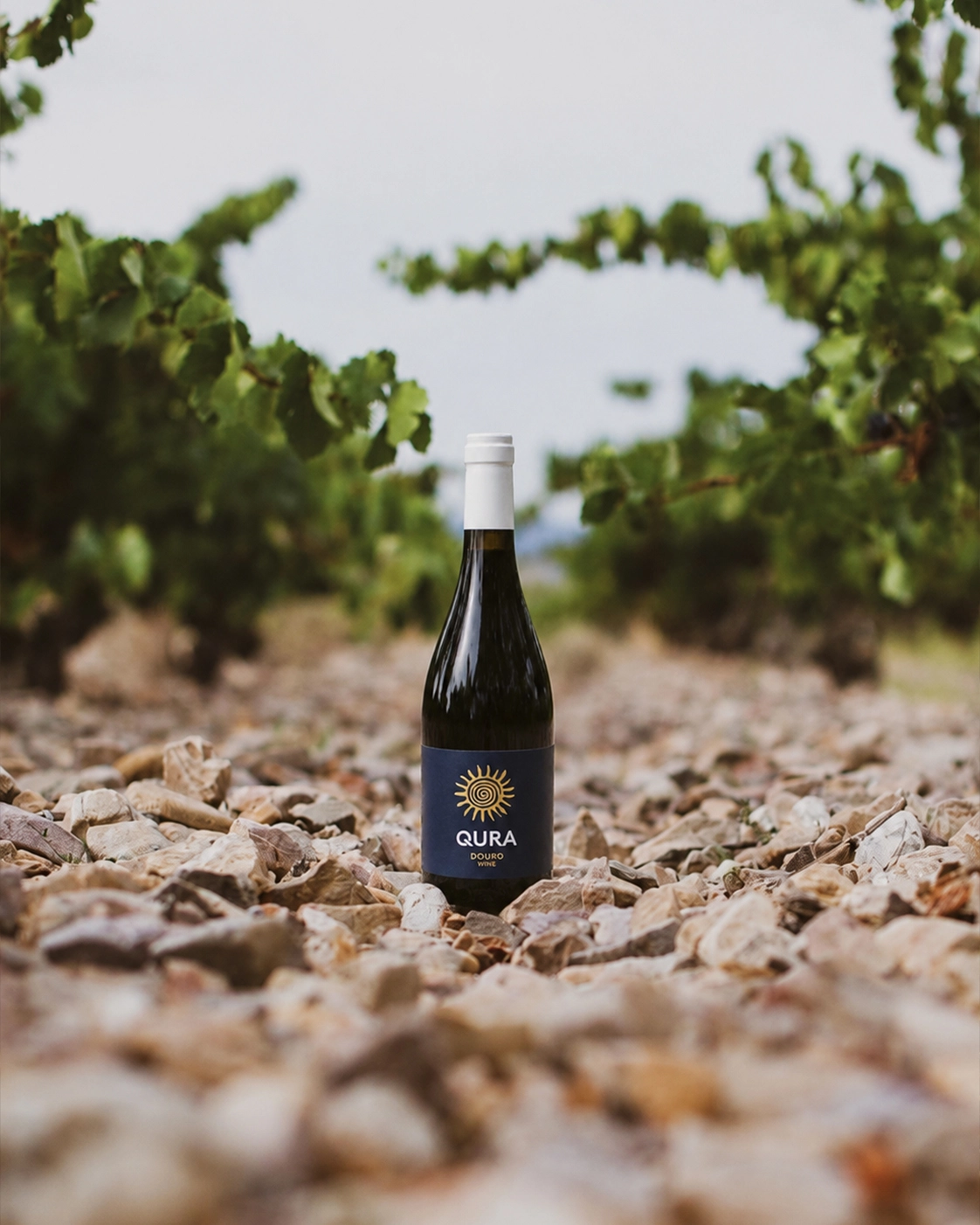 Garrafa de vinho tinto HALF QURA RED entre pedras e vinhas no Douro